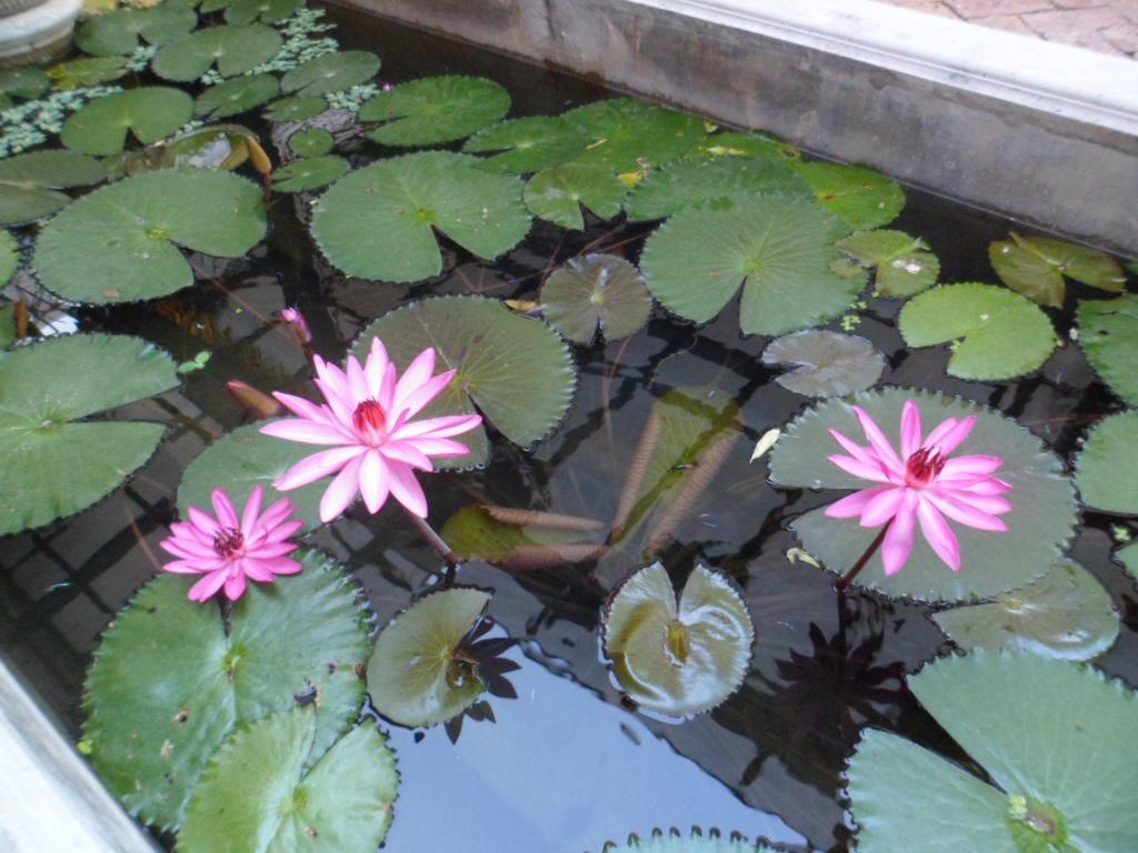 Khaolak Boutique Hertitage Khao Lak Luaran gambar